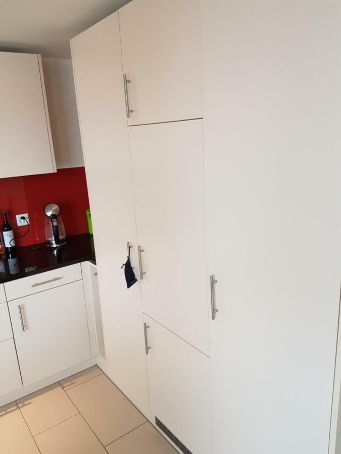 Zimmer In Penthouse-Wohnung Windisch Exteriér fotografie