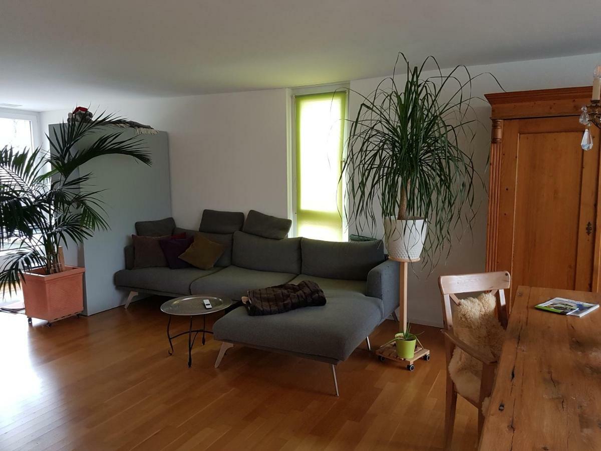 Zimmer In Penthouse-Wohnung Windisch Exteriér fotografie