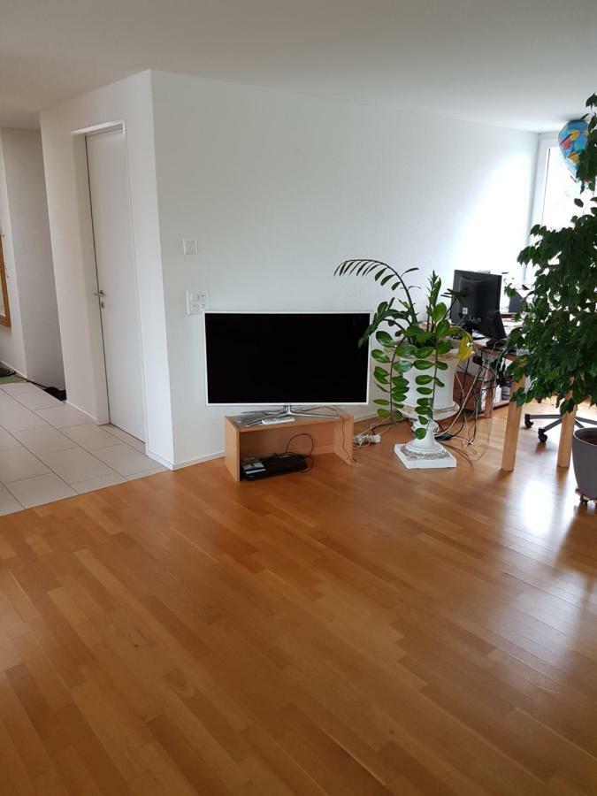 Zimmer In Penthouse-Wohnung Windisch Exteriér fotografie
