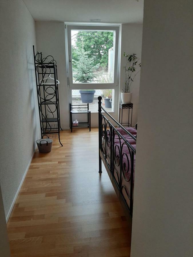 Zimmer In Penthouse-Wohnung Windisch Exteriér fotografie