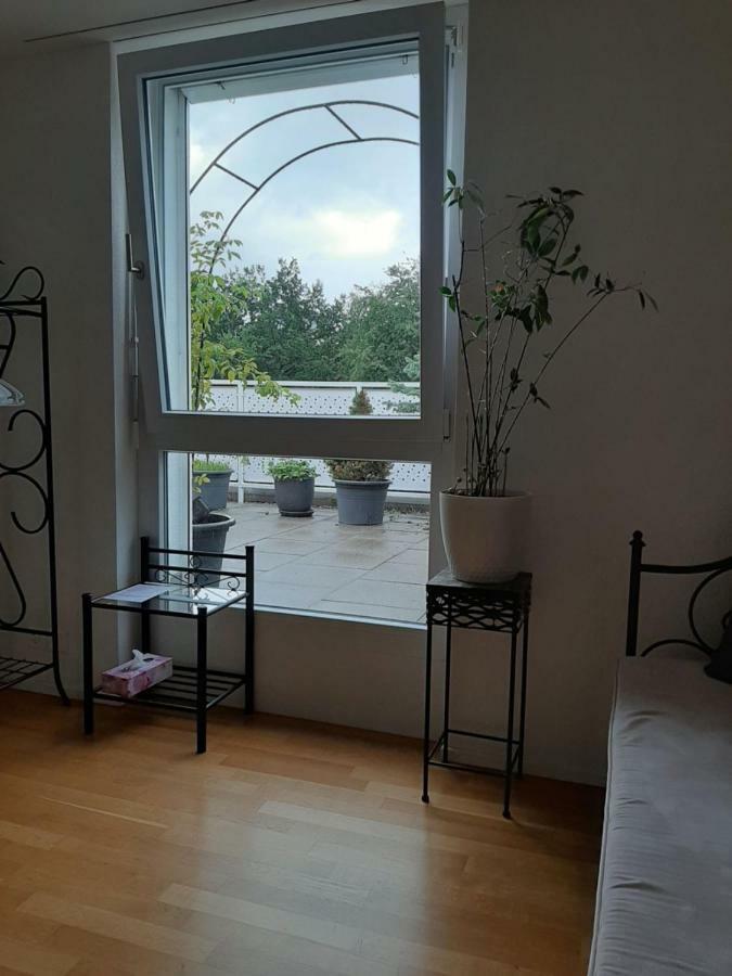 Zimmer In Penthouse-Wohnung Windisch Exteriér fotografie
